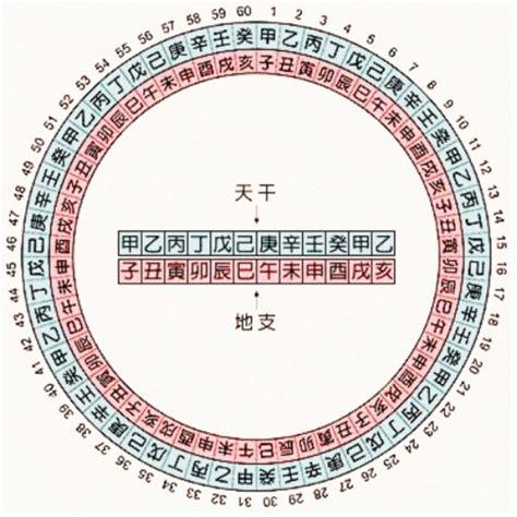 天干地支對照|天干地支对照表